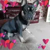 janetilley6 - @janetilley6 - TikTok