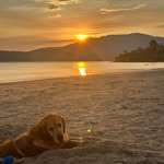 Sarah Jane Tilley - @sarah_tilley76 - Instagram