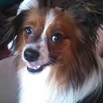 Jane Blackman Tillman - @janeblackmantillman - Instagram