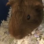 Jane Tillman - @jane_s_tillm - Instagram