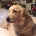 Jane Tingley - @jeting9093 - Instagram