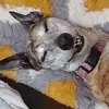 janetipton7 - @janetipton7 - TikTok