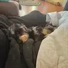 janettipton4 - @janettipton4 - TikTok