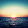 janet_Trotman - @janettrotman - TikTok