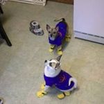 Jane Tully - @janetully51 - Instagram