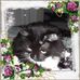 Jane Turnage - Facebook