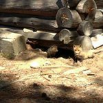 Nan of 4 - @janetvaillancourt - Instagram