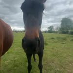 Amy Jane Varney - @urnotwanted_2 - Instagram