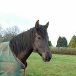 Sarah Jane Varney-Wiseman - @sarahjanevw - Instagram