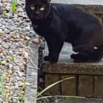 Jane Vernon - @jane.vernon.961 - Instagram