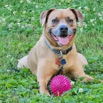 Jane Vogt - @sir_oliver_of_kimmswick - Instagram