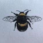 Jane Wadsworth - @buzzybeeze - Instagram