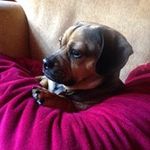 Jane Wadsworth - @jane.wadsworth1957 - Instagram