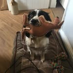 Jane Wales - @walesjane - Instagram
