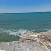 Jane - @janewalker0809 - TikTok