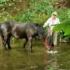 Jane Wallace - @countryadventure - TikTok