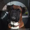 Jane6357 - @janewaters6357 - TikTok