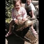Jane Webb - @janewebb4579 - Instagram