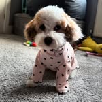 Jane Webb - @red_loveheart_cc - Instagram