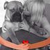 Jane Webb - Facebook
