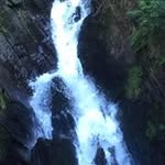 Jane Webb - @janewebb4053 - Instagram