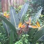 Jane Smith Weldon - @janesmithweldon - Instagram