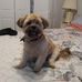 Jane Wendt - Facebook