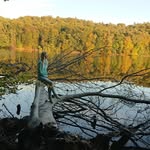 Jane Wesner - @jane_wesner - Instagram