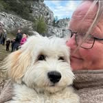 Jane Westerberg - @jane_westerberg - Instagram