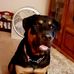 Jane Westfall - Facebook