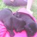 Jane Westfall - Facebook