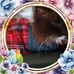 Jane Wetzel - Facebook