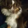 Jane - @janewhetzel2 - TikTok