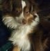 Jane Whetzel - Facebook