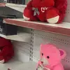 jane willard - @jane.willard0 - TikTok