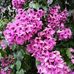 Jane Winston - Facebook