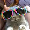 Jane - @jane_winton - TikTok