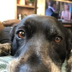 Jane Wisdom - @jane.wisdom.37 - Instagram