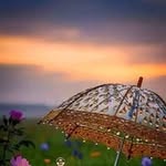 Jane Wisdom - @jane11930 - Instagram