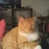 janewisdom228 - @janewisdom228 - TikTok