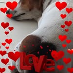 Jane Wolff - @wolff528 - Instagram