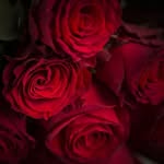 Jane Wolff - @jane.wolff.9889 - Instagram