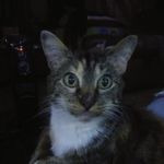 Emma Jane Wooster - @ima_fan_of_derek_gerard123 - Instagram
