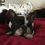 Jane Wright - @_jane_wright - Instagram