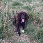 Jane Wright - Facebook