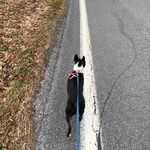 Jane Yoder - @yoderjane1 - Instagram
