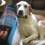 Jane Adams Yost - @yost_daniel - Instagram