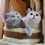 Jane yue - @janeyue99 - Instagram