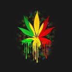 Janea Jackson - @detroit_hemp_station - Instagram