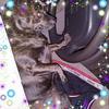 Janeen Armstrong - @janeenarmstrong - TikTok